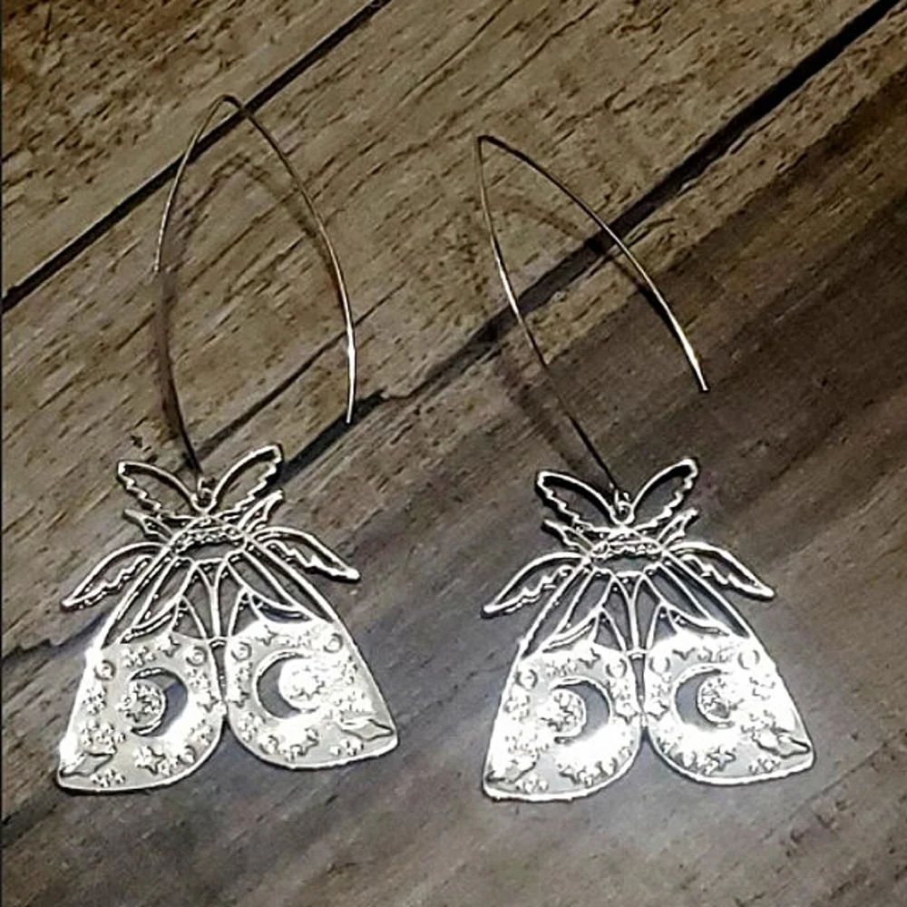 Silver Fly Earrings